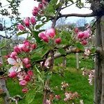 Apartment Wein- Und Obstbau Rupp