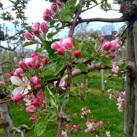 Apartment Wein- Und Obstbau Rupp